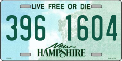 NH license plate 3961604