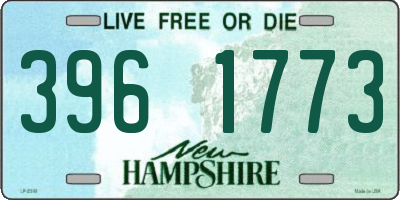 NH license plate 3961773