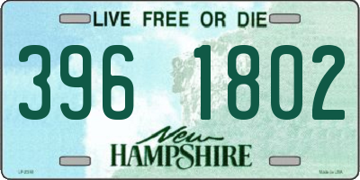 NH license plate 3961802