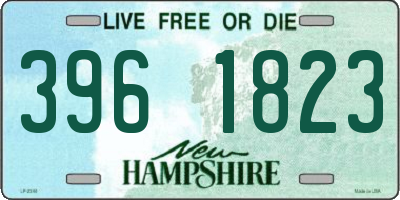 NH license plate 3961823