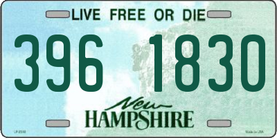 NH license plate 3961830