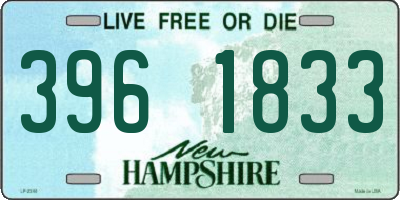 NH license plate 3961833