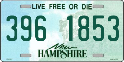 NH license plate 3961853