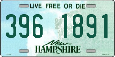 NH license plate 3961891