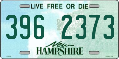 NH license plate 3962373