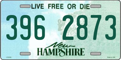 NH license plate 3962873