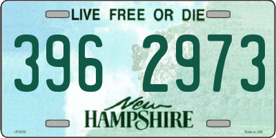 NH license plate 3962973