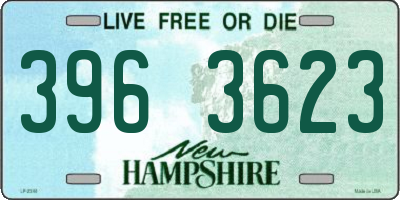 NH license plate 3963623