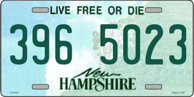 NH license plate 3965023