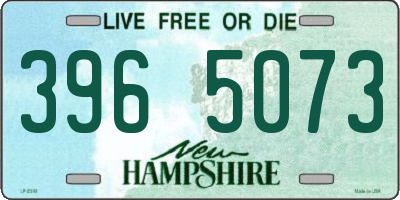 NH license plate 3965073