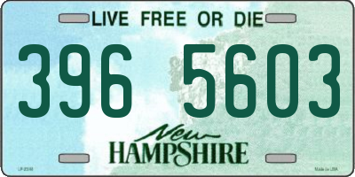 NH license plate 3965603