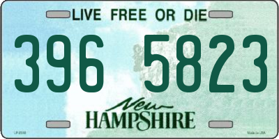 NH license plate 3965823