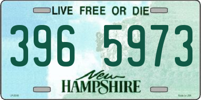 NH license plate 3965973