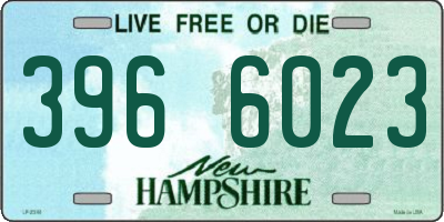 NH license plate 3966023