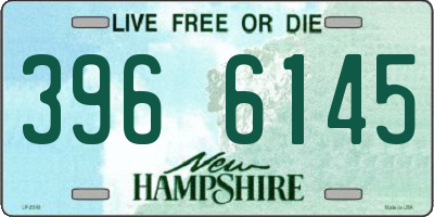 NH license plate 3966145