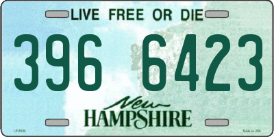 NH license plate 3966423