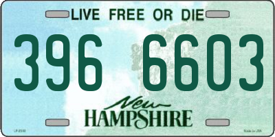 NH license plate 3966603