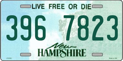 NH license plate 3967823