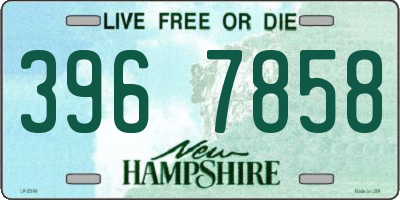NH license plate 3967858