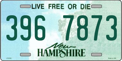 NH license plate 3967873