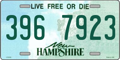 NH license plate 3967923