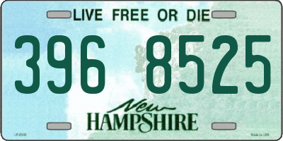 NH license plate 3968525