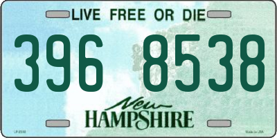 NH license plate 3968538