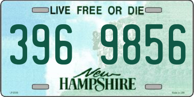 NH license plate 3969856
