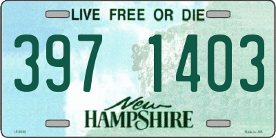 NH license plate 3971403