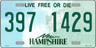 NH license plate 3971429