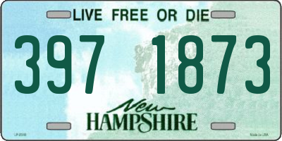 NH license plate 3971873