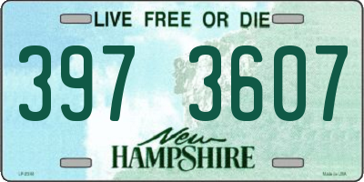 NH license plate 3973607