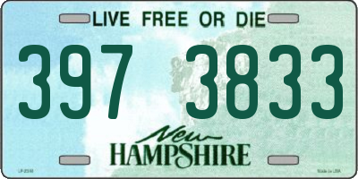 NH license plate 3973833