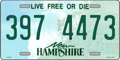 NH license plate 3974473