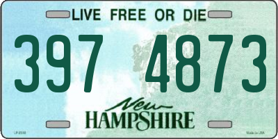 NH license plate 3974873