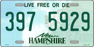 NH license plate 3975929