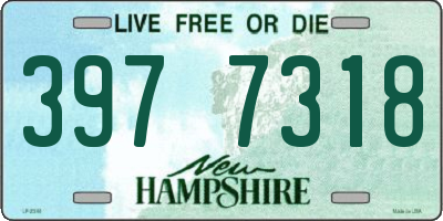 NH license plate 3977318