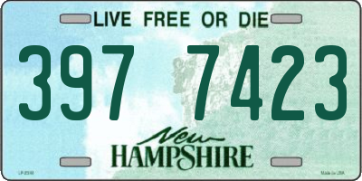 NH license plate 3977423