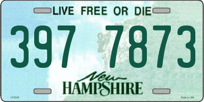 NH license plate 3977873