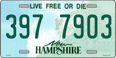 NH license plate 3977903