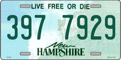 NH license plate 3977929