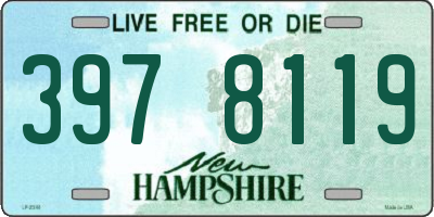 NH license plate 3978119