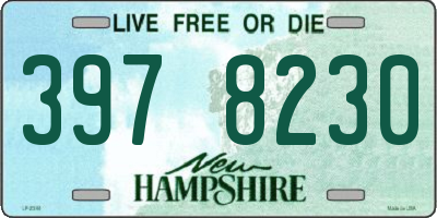 NH license plate 3978230