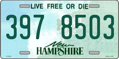 NH license plate 3978503