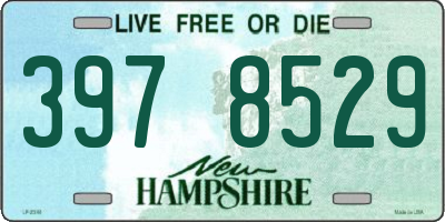 NH license plate 3978529