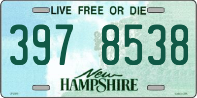 NH license plate 3978538