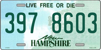 NH license plate 3978603