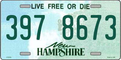 NH license plate 3978673