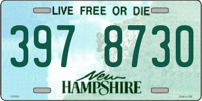 NH license plate 3978730