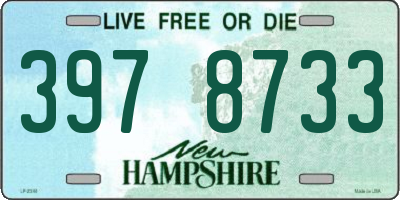 NH license plate 3978733